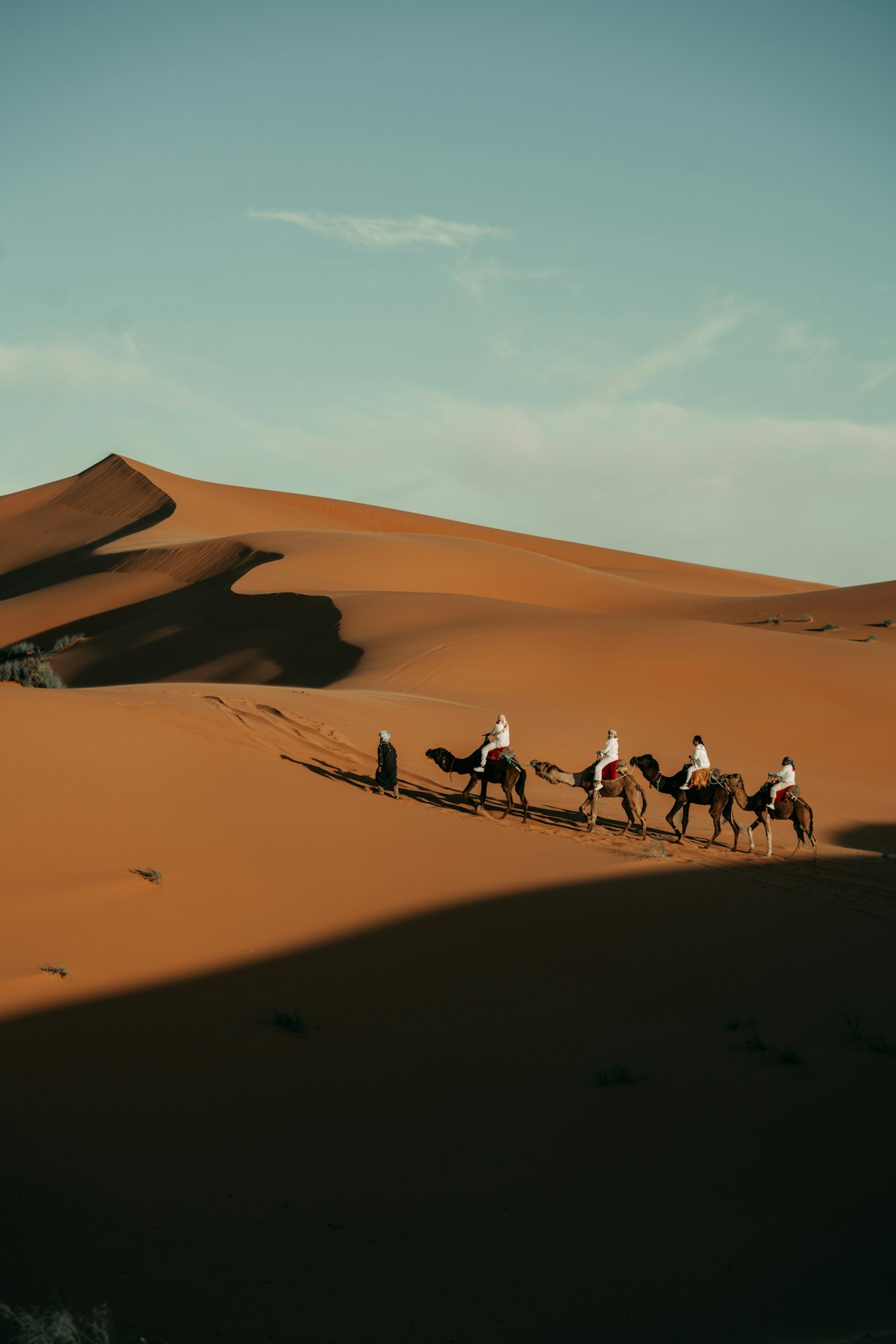 Tourists riding camels across sand dunes in the Abu Dhabi desert UAE