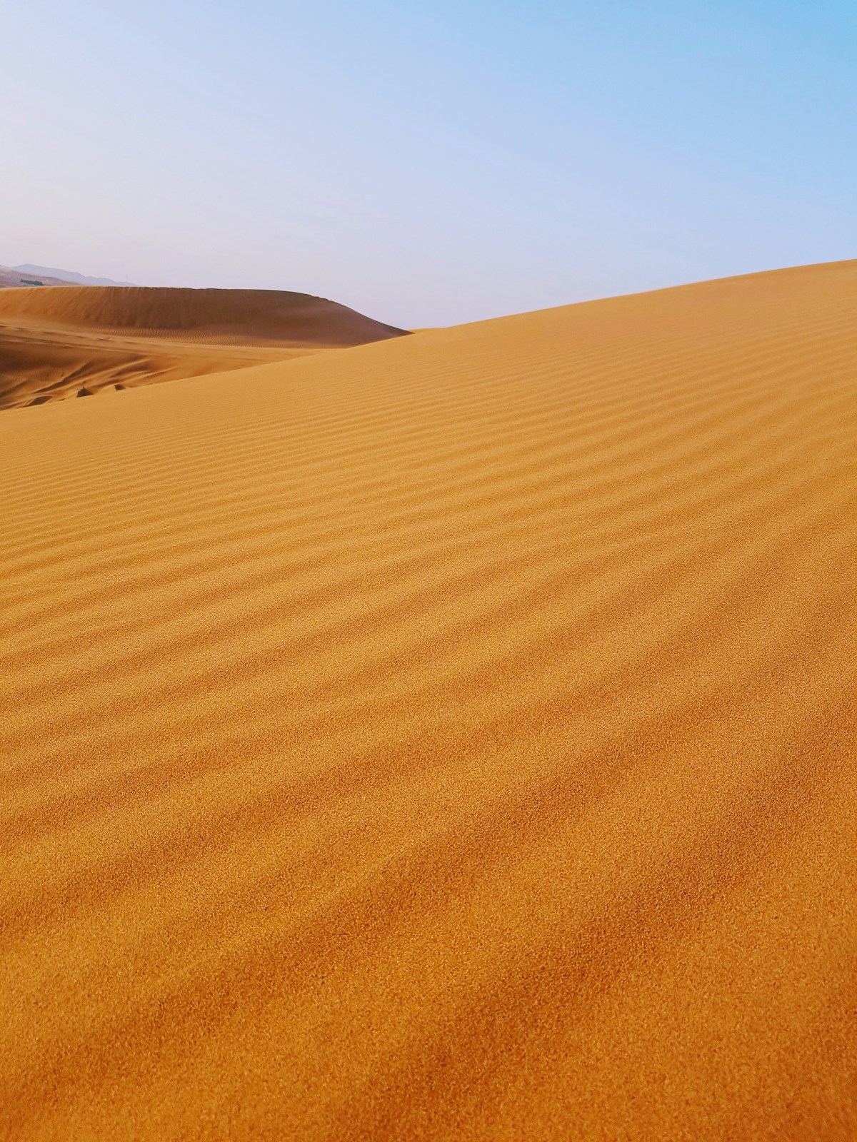 Desert sand dunes stretching to the horizon under blue sky in Abu Dhabi, UAE