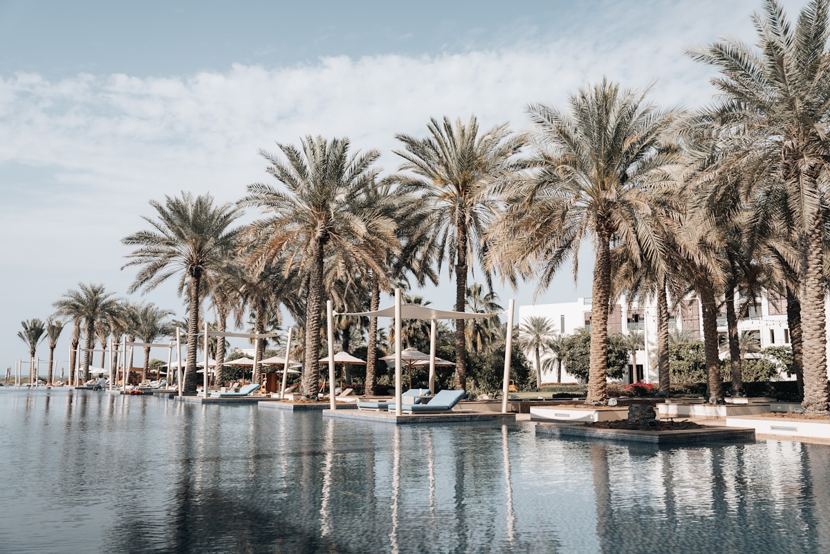 Palm-lined resort pool under warm sky, luxury Abu Dhabi UAE