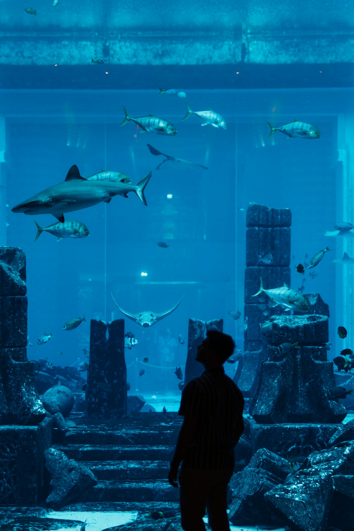 People silhouetted against a large aquarium display, Dubai Mall UAE