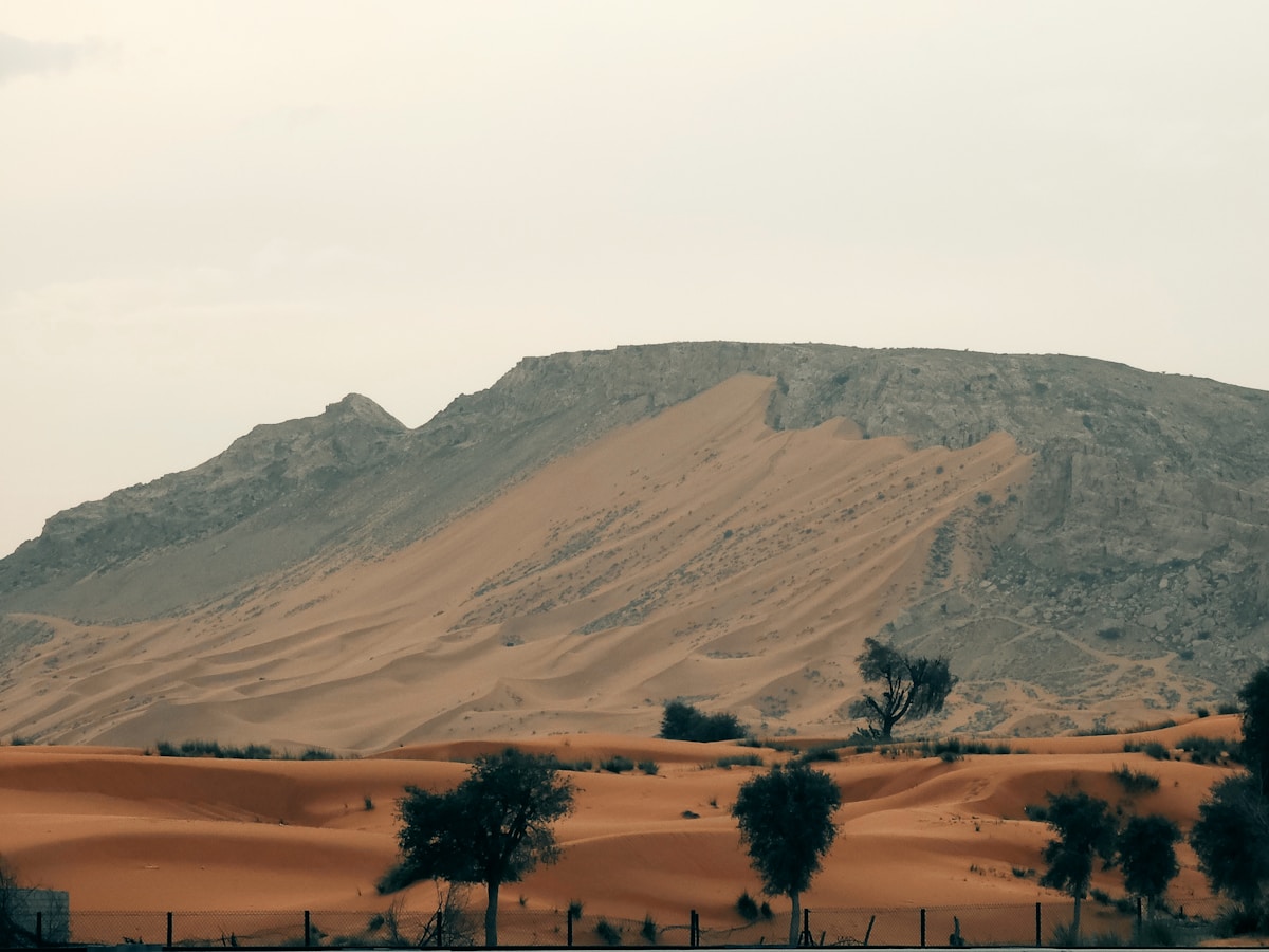 Hajar mountain range with trees in the foreground near Fujairah, UAE
