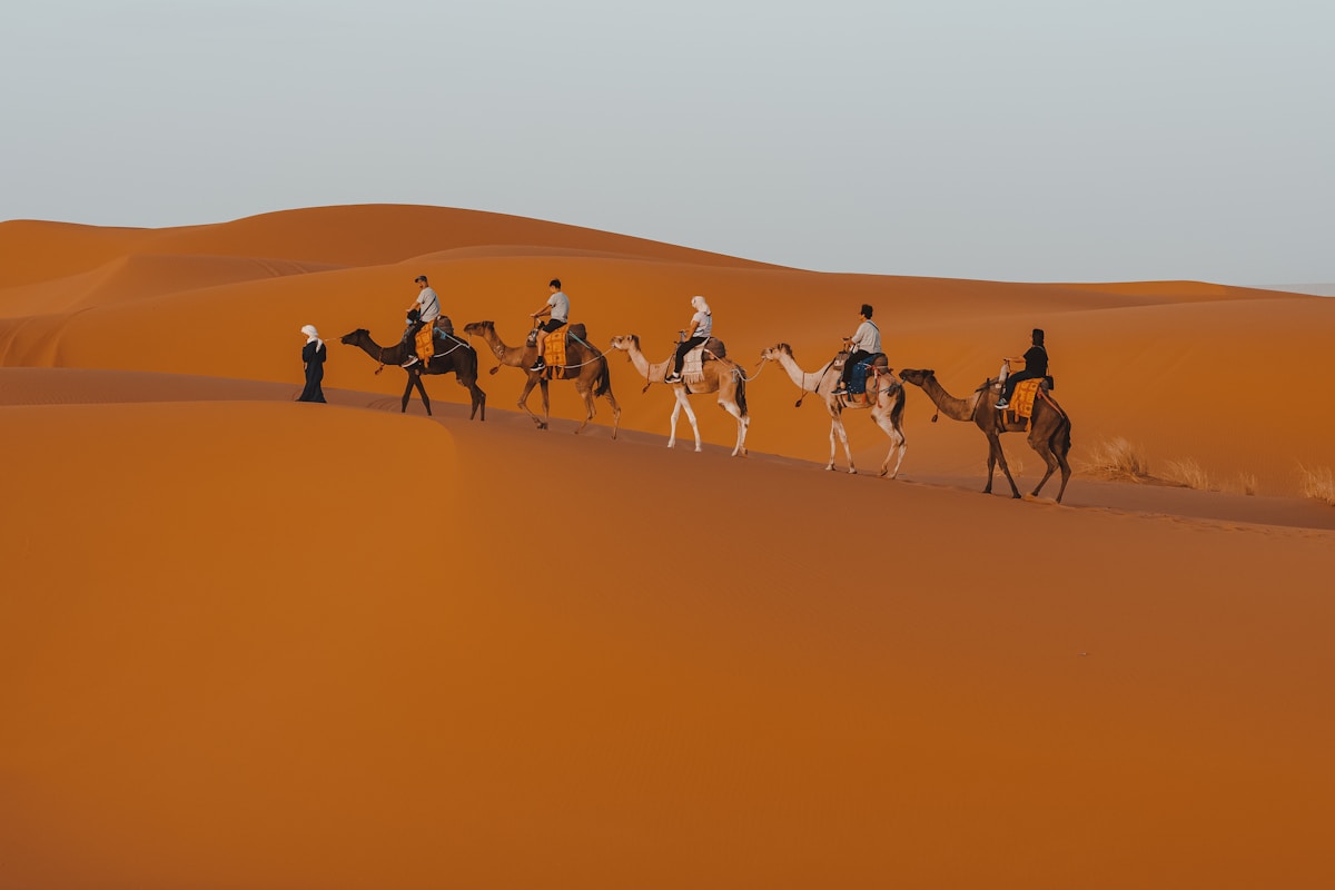 Group of tourists riding camels across desert dunes Abu Dhabi UAE
