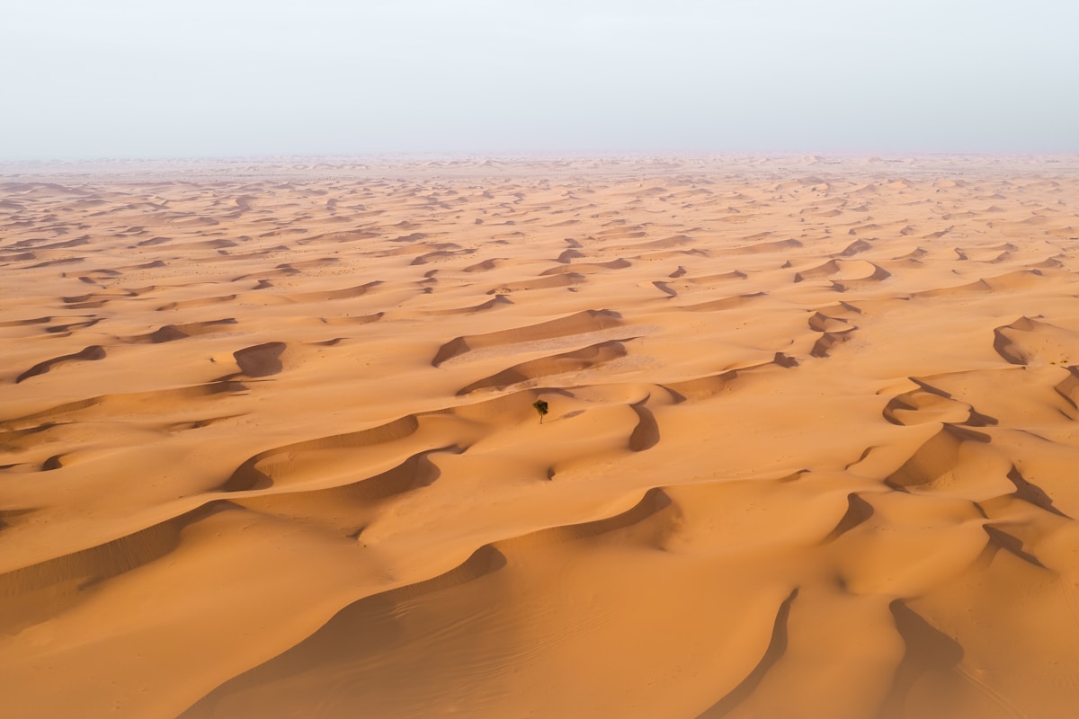 Vast orange sand dunes stretching to the horizon in the UAE desert