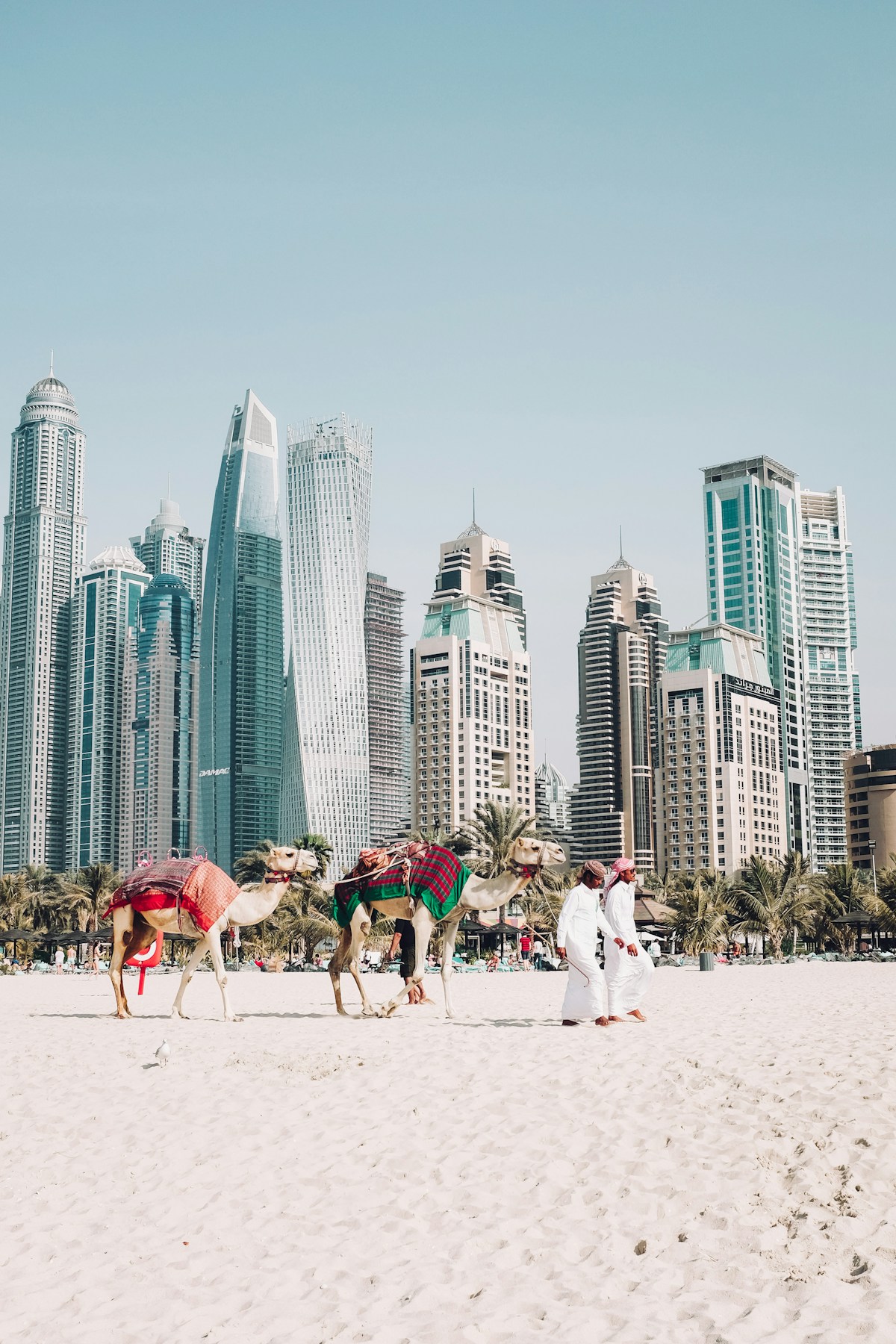 Panoramic illuminated Downtown Dubai skyline at dusk June UAE