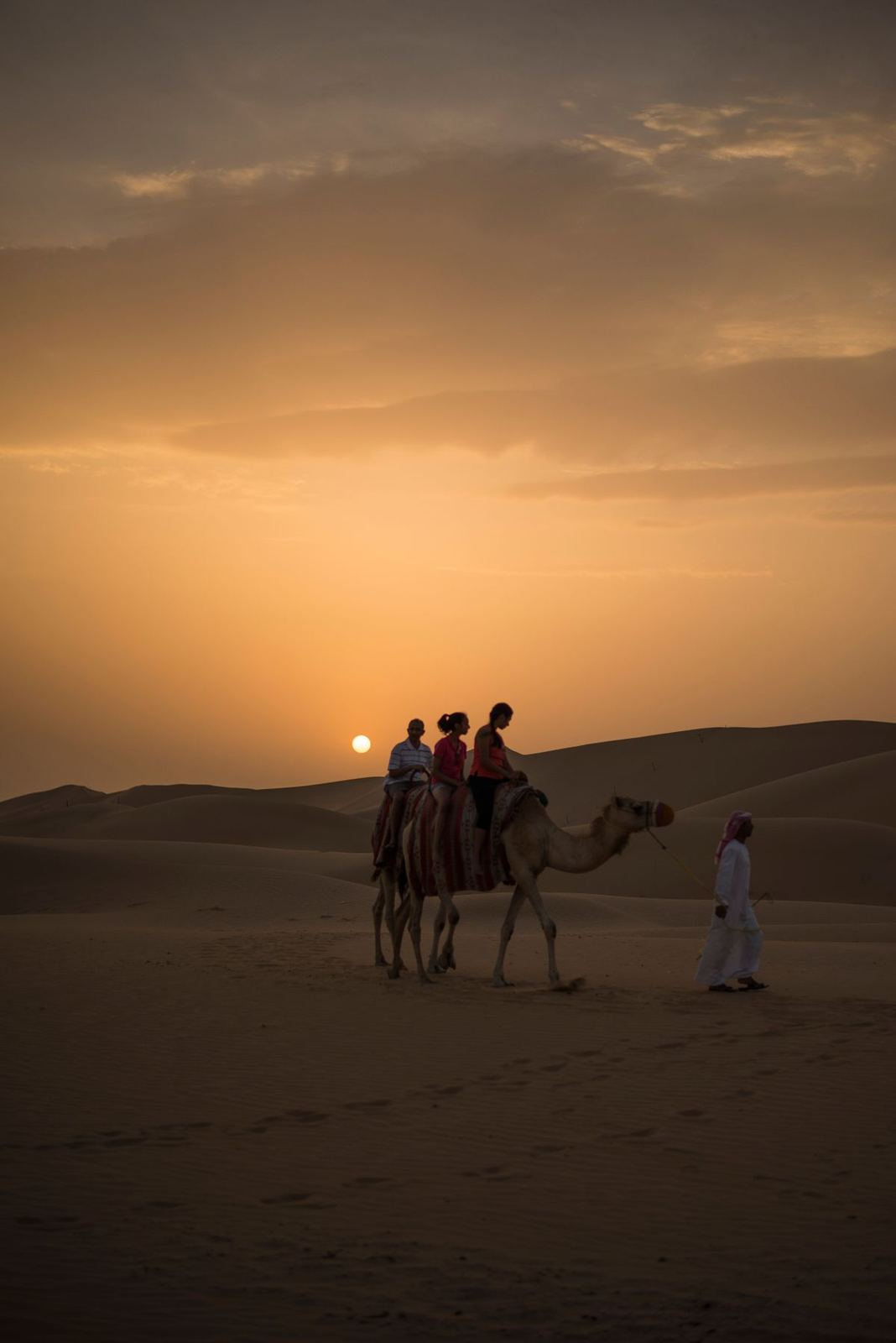 Camels and people on sand dunes at sunset in the Dubai desert