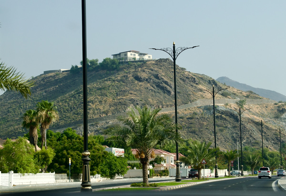 Palm-lined street with Hajar mountains rising behind Fujairah, United Arab Emirates